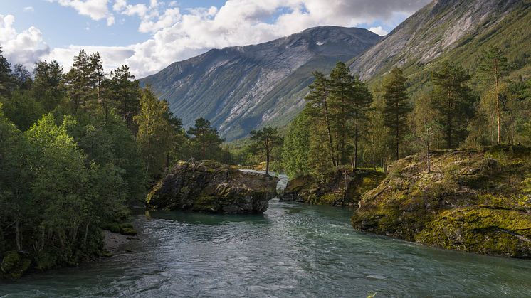 6. Norge