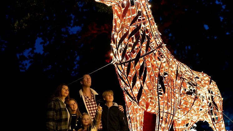 LUMAGICA mit eindrucksvollen Lichtinszenierungen(c)MK Illumination