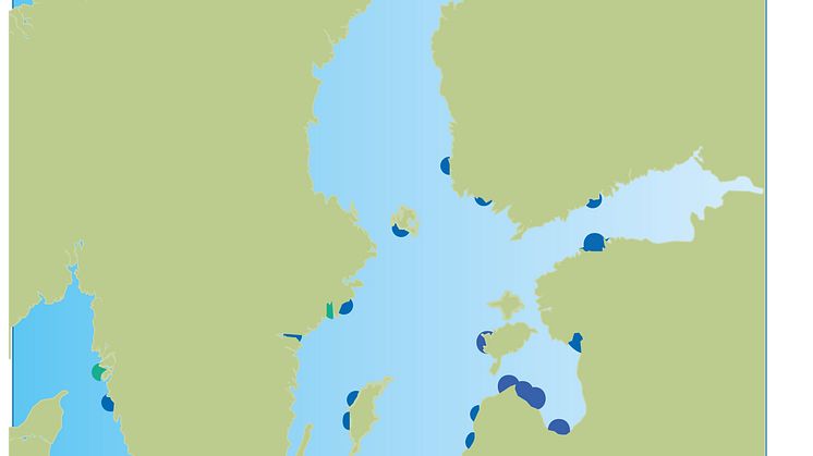 Invasiv fiskart ökar snabbt i Sverige: "Nya fynd  i Göteborg och vid Öland"