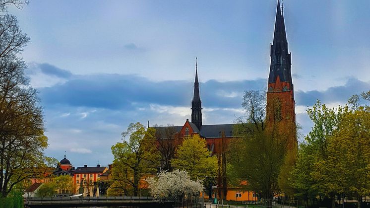 QD har skrivit ett historiskt avtal med Svenska Kyrkan och fortsätter sin kraftiga tillväxt