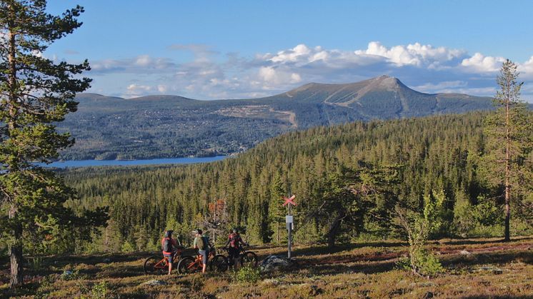 Stigcykling på Lofsdalens södra fjäll