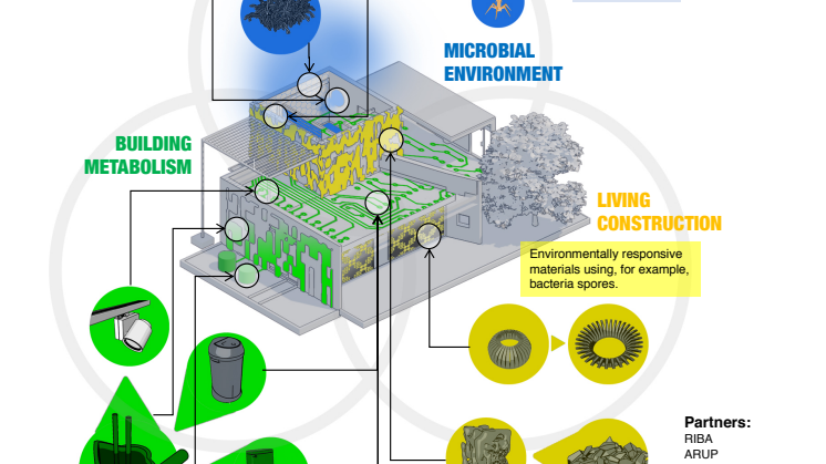 HBBE Fact Sheet
