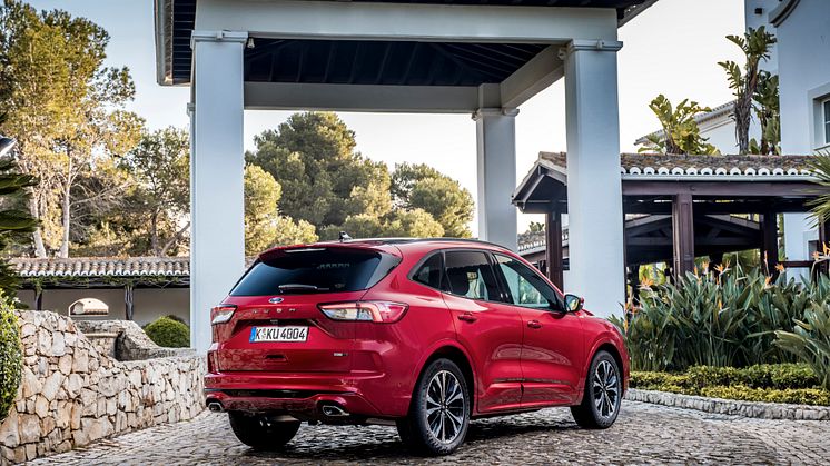 Ford EcoBlue Hybrid 2020