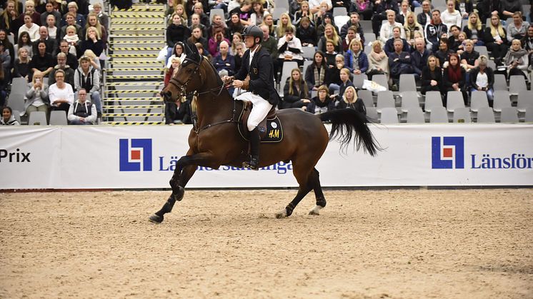Elmia Scandinavian Horse Show