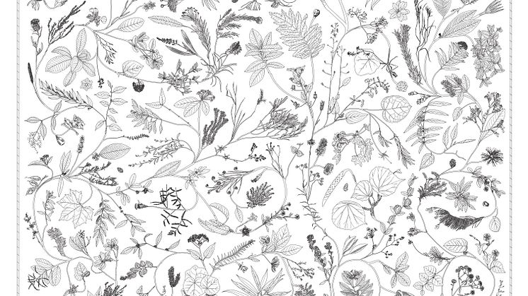Katie Paterson - Evergreen (2022). 351 extinct plants embroidered in silk thread on linen.
