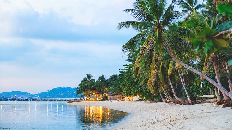 KohSamui_Beach_Evening.jpg