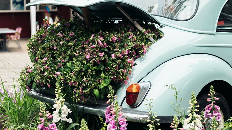 1_Tivoli Friheden Blomsterfestival_Lloyd Revald .jpg