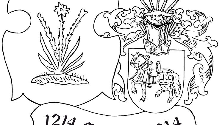 Logo 800 Jahre Stadtrecht Groitzsch