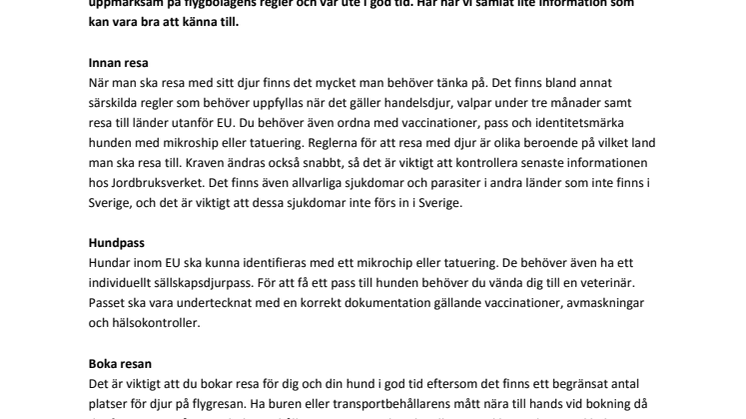 Flyga med hunden 