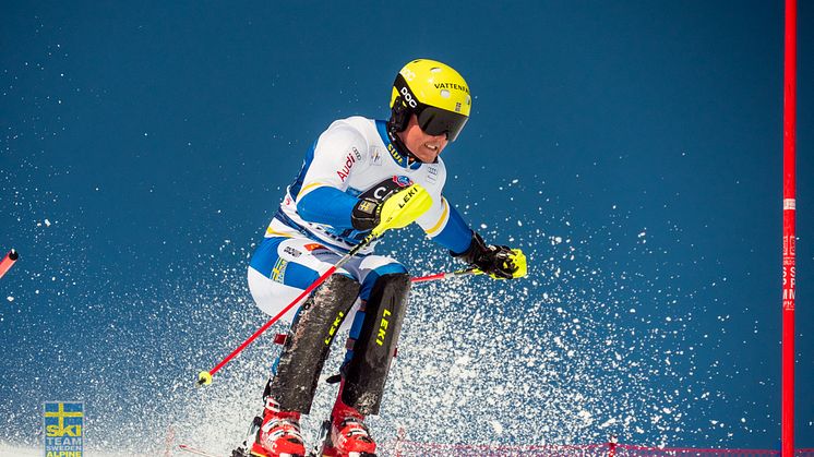 Mattias Hargin. Foto: Klas Rockberg/SSF
