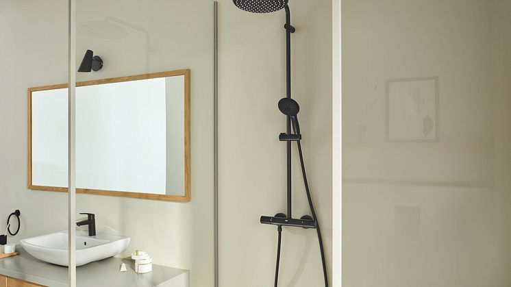 GROHE_Tempesta System 250_Matte Black.jpg