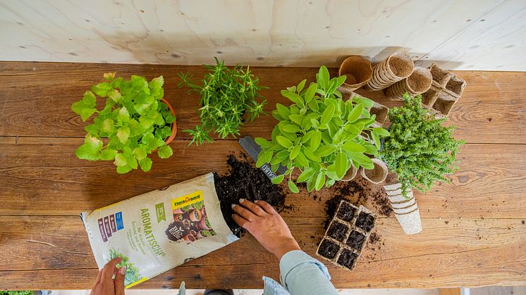 Die Bio-Erde AROMATISCH! von Floragard eignet sich hervorragend, um eigene Kräuter zu ziehen.