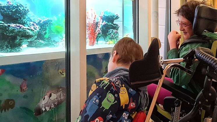 Beliebter Ort im Kinderhospiz Bärenherz - der Platz vor dem Aquarium