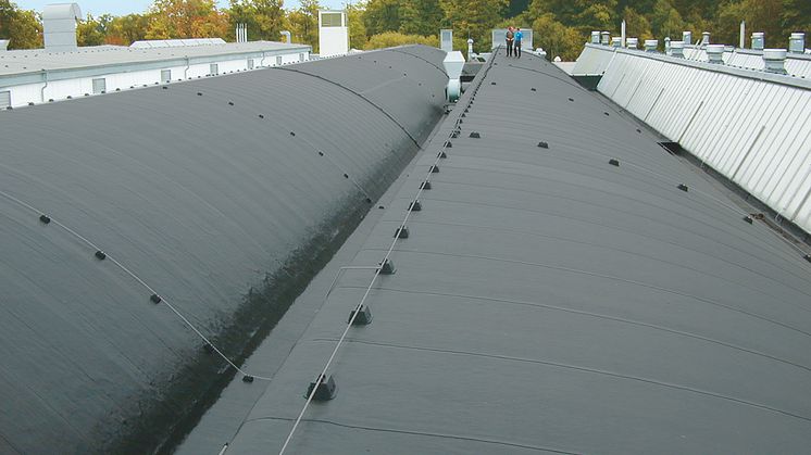 SikaBit_Rooftop_2.jpg