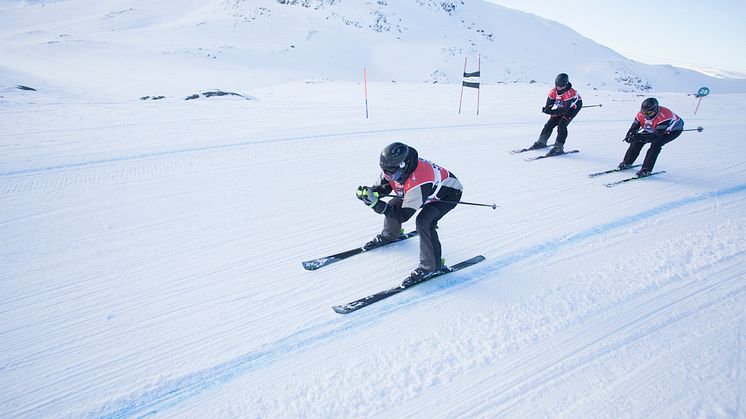 Hemsedal Up and Down