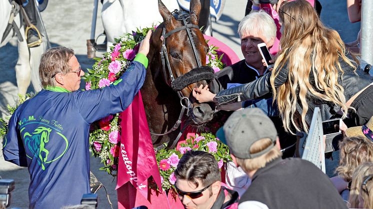 Ringostarr Treb efter segern i Elitloppet 2018. Foto: Malin Albinsson/TR Bild