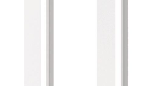 presence with switch.standing.jpg