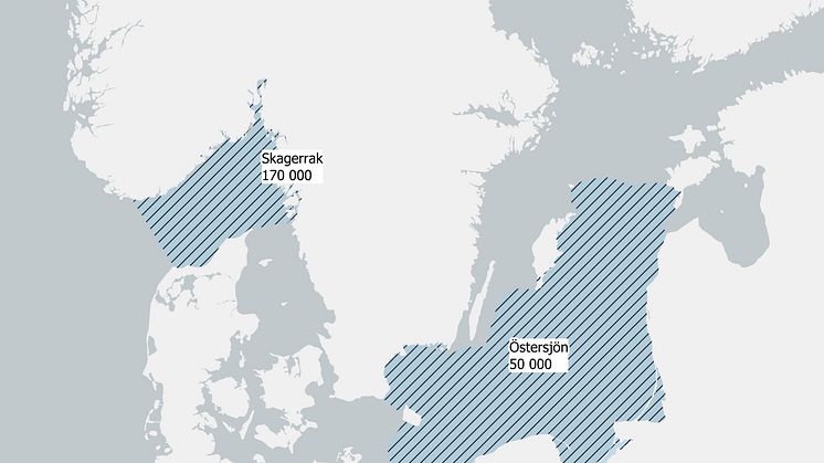 Dumpade stridsmedel i havsområden