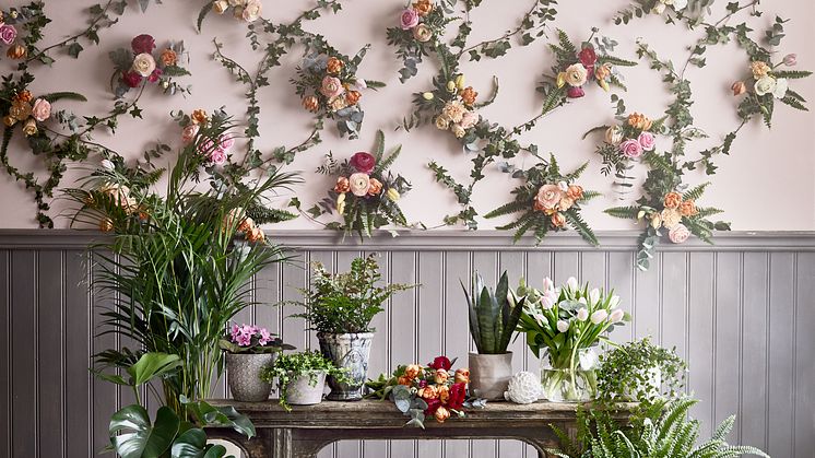 Romantisk lantidyll - Blomsterlandet
