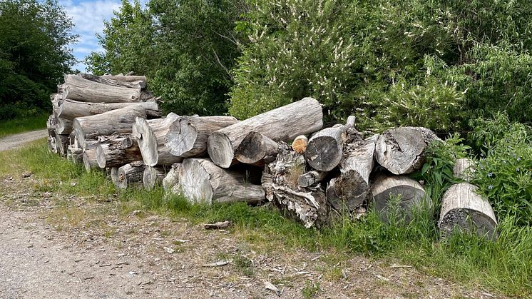 faunadepå