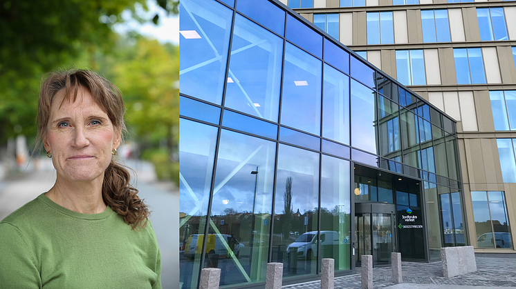 Varslet riktas mot tjänster inom två delar av verksamheten; handläggare inom EU-stödsverksamheten och Sveriges 3R-center som arbetar med att minska djurförsök. Foto: Jordbruksverket
