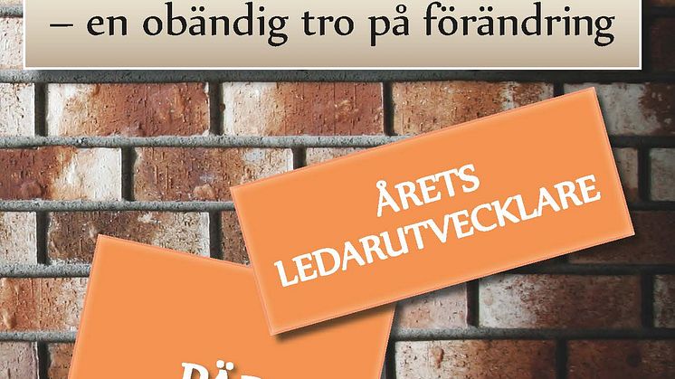 Årets Ledarutvecklare 2013 ger ut boken "Tio tankar om ledarskap" på Lava Förlag