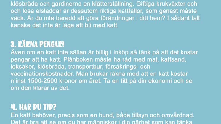 5 tips: Checklisa för blivande kattägare