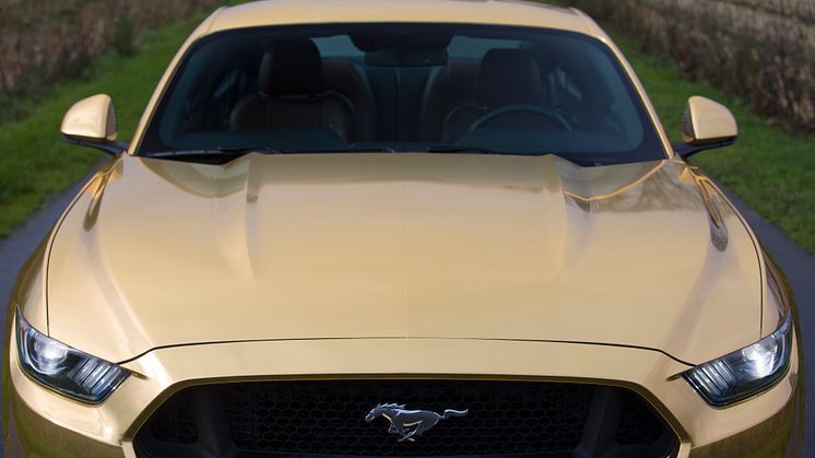 The Golden Mustang