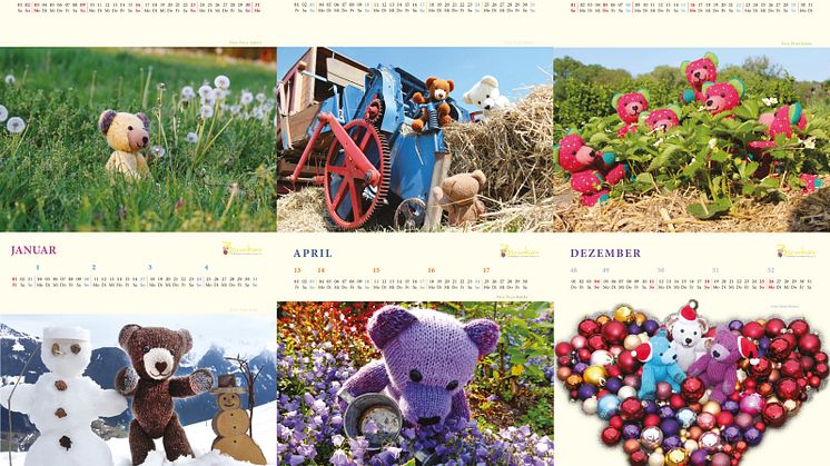 Bärenherz-Kalender für 2016 verfügbar