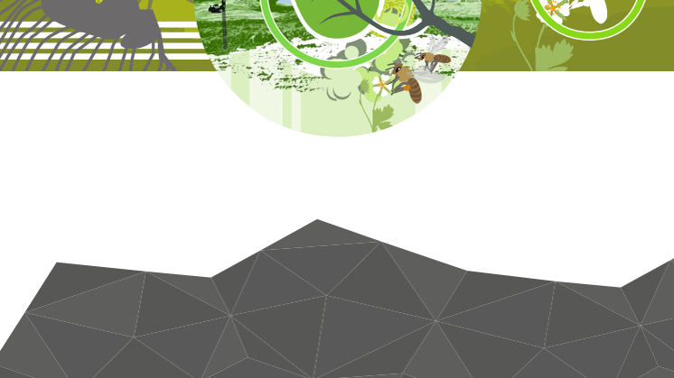 MiningWithNature_Sv_2020-11-10_Lagupplost.pdf
