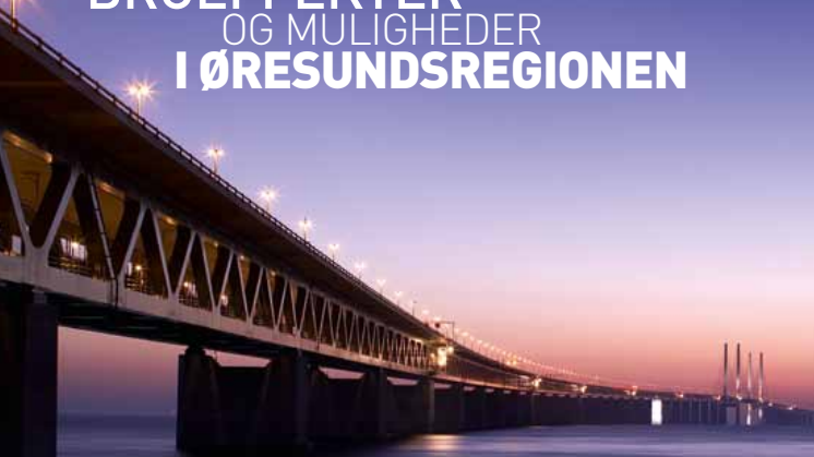 Broeffekter og muligheder i Øresundsregionen
