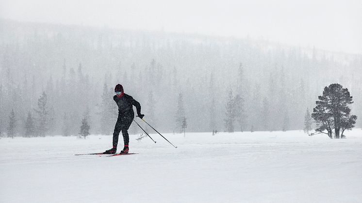 CRAFT Nordic-Ski