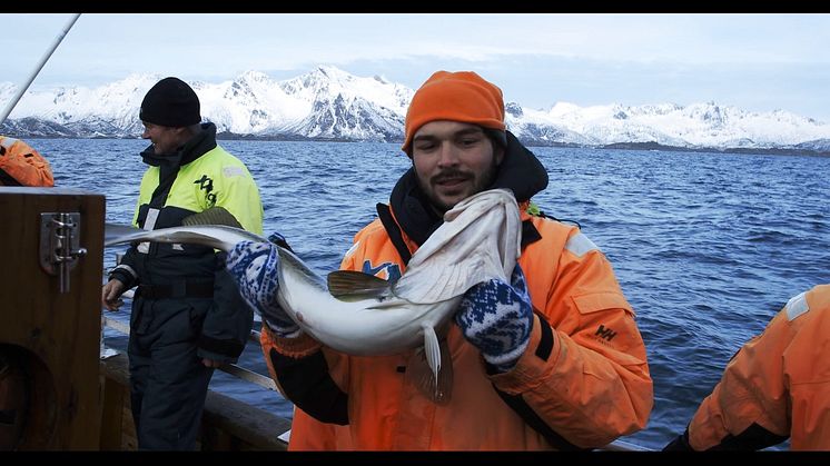 Voyage à la découverte du Skrei, Mars 2015