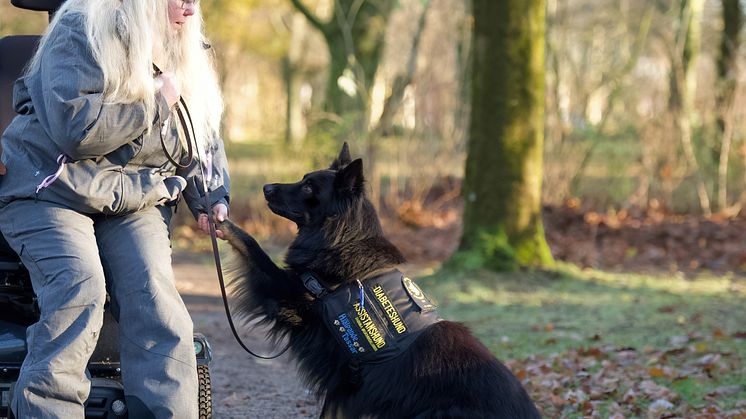 Årets Tjänstehund 2024 Gino med ägare Annika Bengtsson Foto Hanna Nilsson.jpg