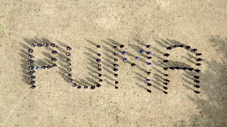 Ford Puma crowd