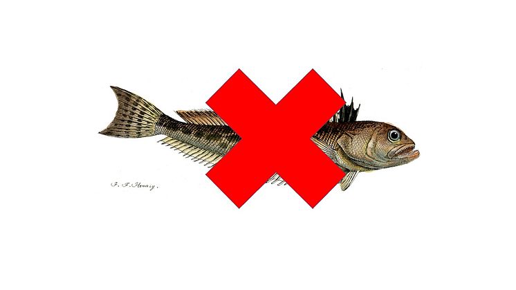 fjärsing