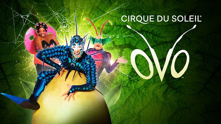 Cirque du Soleil till Sverige med produktionen OVO!