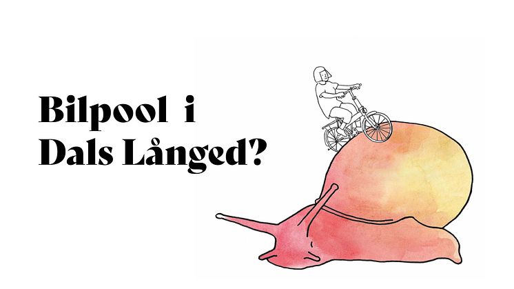 Bilpool i Dals Långed?