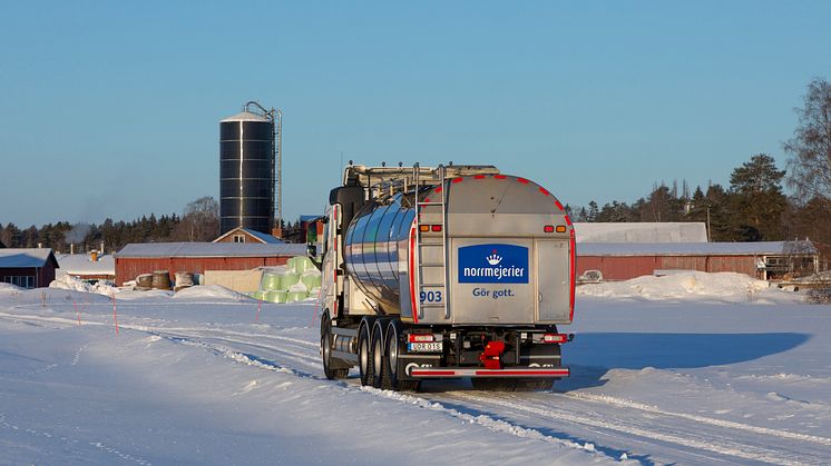 Norrmejerier höjer betalningen till de norrländska mjölkbönderna