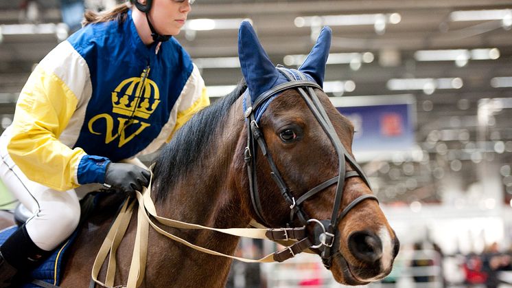 EuroHorse 2013