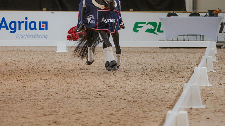 Johanna Sterner - Vangelis- Flyinge Hästsportklubb