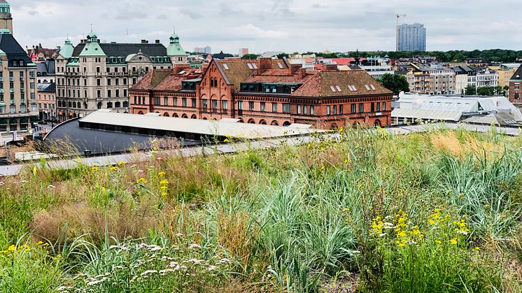 Bengt-Erik Karlberg, Affärsenhetschef Veg Tech, lämnar Nordic Waterproofing