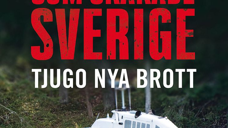 Brotten som skakade Sverige