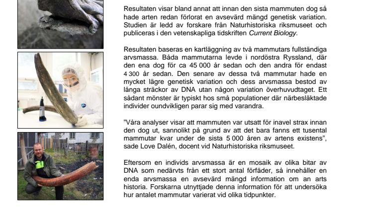 Mammutens arvsmassa kartlagd