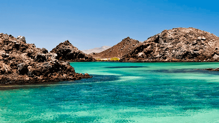 Nyfiken på Fuerteventura?