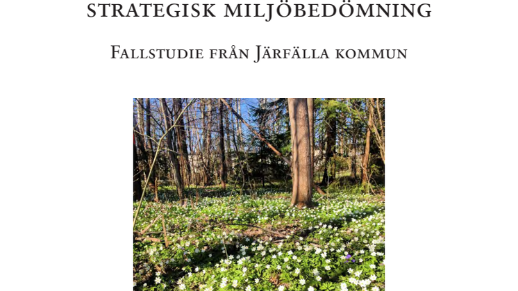 Ekosystemtjänster i kommunal planering