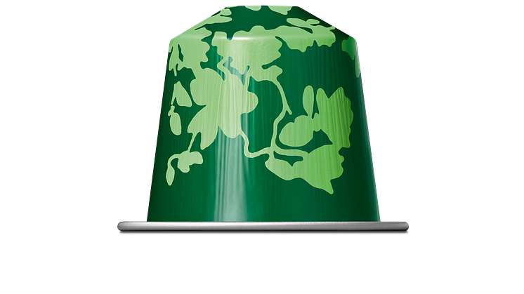 Festive_Forest_Black_Capsule_002.png
