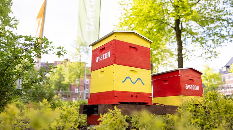 Haus und Garten für Avacon-Bienen