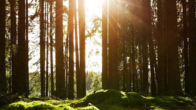 ​Vad ska vårt mest hållbara projekt någonsin heta?