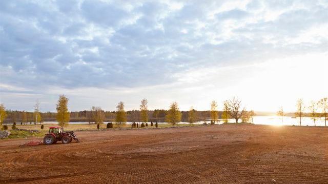 ​Det är stor skillnad på arrendepriser i Sverige. Högst pris är det i Götalands södra slättbygder, alltså de bästa jordbruksmarkerna i Hallands och Skåne län. Foto: Thomas Adolfsén, Scandinav